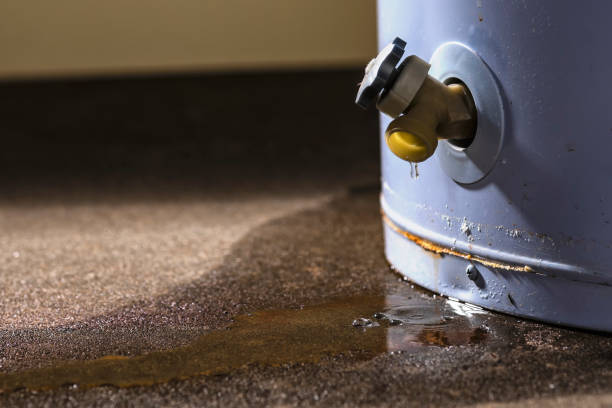 Best 24/7 water damage repair  in East Lake, FL