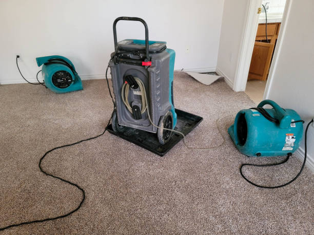 Best Local water damage restoration  in East Lake, FL