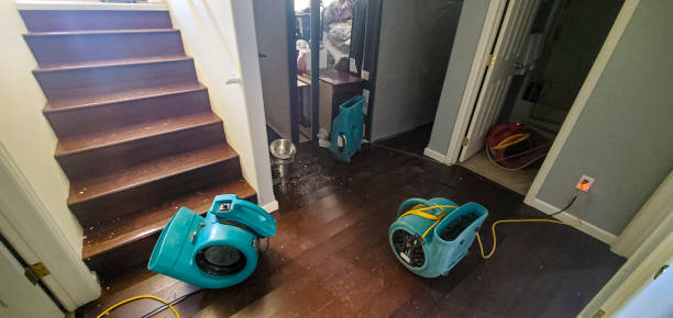 Best Ceiling water damage repair  in East Lake, FL