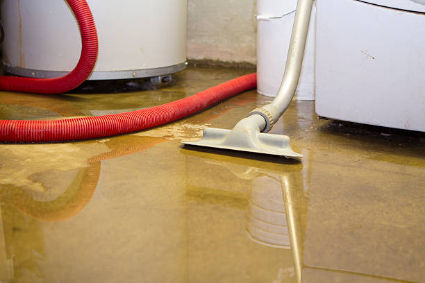 Best Carpet water damage restoration  in East Lake, FL