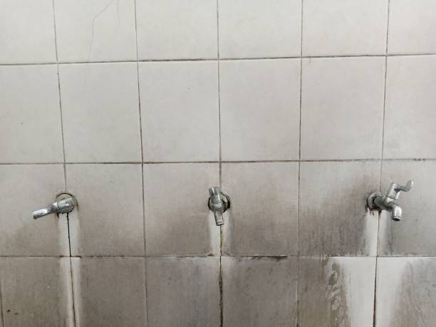 Best Commercial water damage restoration  in East Lake, FL