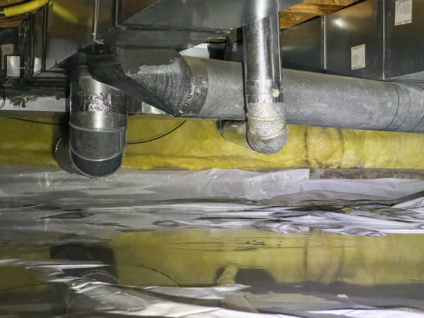 Best Water damage cleanup near me  in East Lake, FL