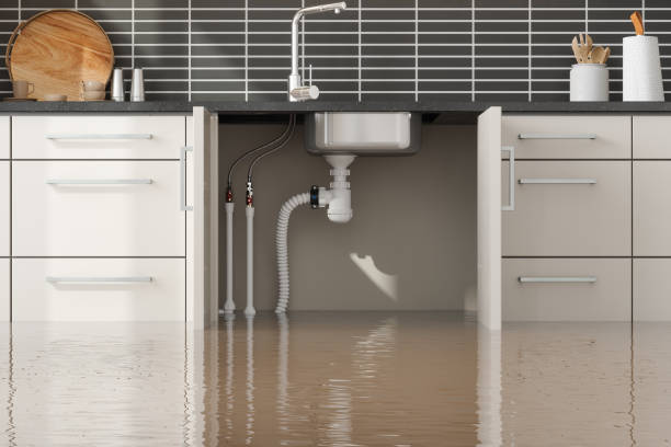  East Lake, FL Water damage restoration Pros