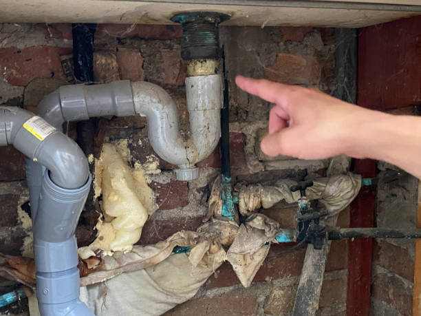 Best Water damage restoration near me  in East Lake, FL