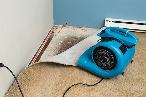 Best Fire Damage Restoration  in East Lake, FL